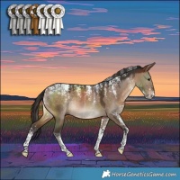Horse Color:Powder White Brown Dun 