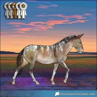 Horse Color:Powder White Brown Dun
