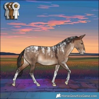 Horse Color:Powder White Brown Dun