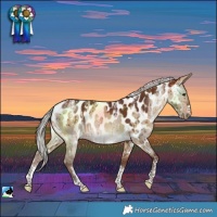 Horse Color:Powder White Silver Bay Dun Near Leopard Brindle