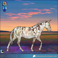 Horse Color:Powder White Silver Bay Dun Near Leopard Brindle 