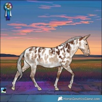 Horse Color:Powder White Silver Bay Dun Appaloosa Brindle 