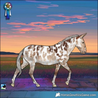 Horse Color:Powder White Silver Bay Dun Near Leopard Brindle 