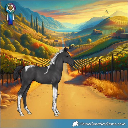 Horse Color:Black Tobiano 