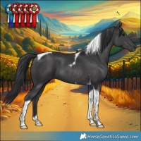 Horse Color:Black Tobiano