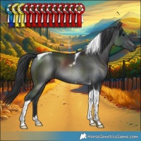 Horse Color:Black Tobiano