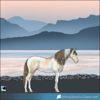 Horse Color:Buckskin Pearl Dun Tobiano Rabicano 