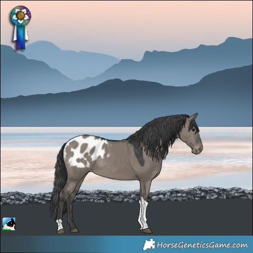 Horse Color:Grullo Tobiano Appaloosa Rabicano 