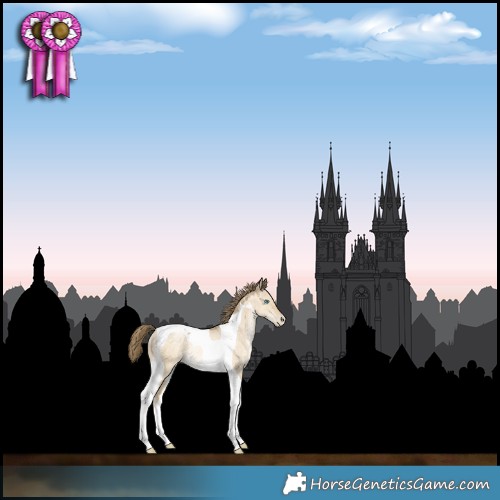 Horse Color:Buckskin Pearl Dun Tobiano Rabicano 