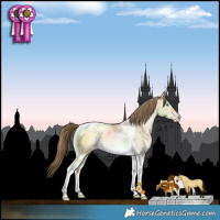 Horse Color:Buckskin Pearl Dun Tobiano Rabicano