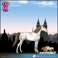 Horse Color:Buckskin Pearl Dun Tobiano Rabicano