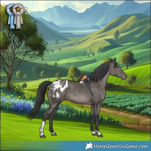 Horse Color:Grullo Tobiano Appaloosa Rabicano