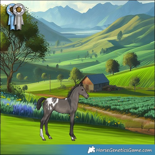 Horse Color:Grullo Tobiano Appaloosa Rabicano