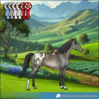 Horse Color:Grullo Tobiano Blanket Rabicano 