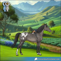 Horse Color:Grullo Tobiano Appaloosa Rabicano