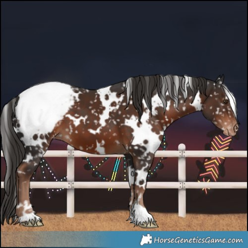 Horse Color:White Spotted Liver Chestnut Snowcap 