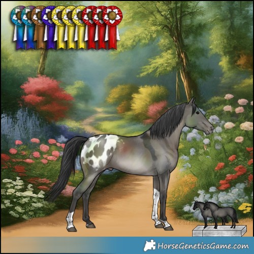 Horse Color:Grullo Tobiano Blanket Rabicano