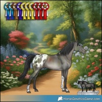 Horse Color:Grullo Tobiano Blanket Rabicano