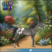 Horse Color:Grullo Tobiano Blanket Rabicano
