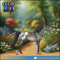 Horse Color:Grullo Tobiano Blanket Rabicano