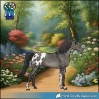Horse Color:Grullo Tobiano Appaloosa Rabicano 