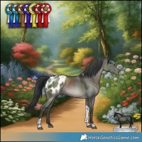 Horse Color:Grullo Tobiano Blanket Rabicano 