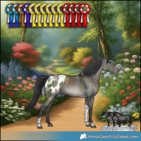Horse Color:Grullo Tobiano Blanket Rabicano 