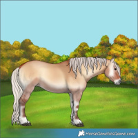Horse Color:Silver Bay Onyx 