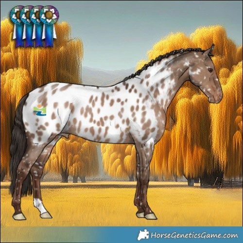 Horse Color:Liver Red Dun Blanket 