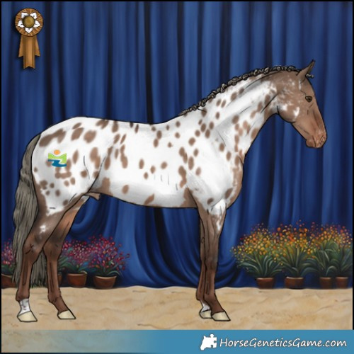 Horse Color:Liver Red Dun Mushroom Near Leopard 