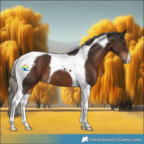 Horse Color:Liver Chestnut Mushroom Tobiano