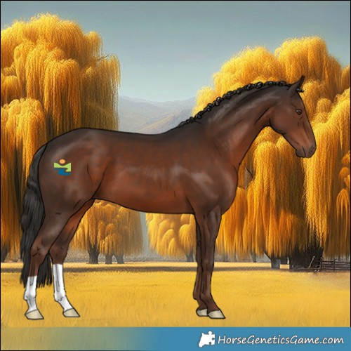 Horse Color:Liver Chestnut