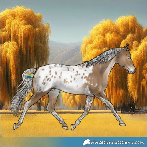 Horse Color:Gray Silver Smoky Black Snowdrop Tobiano Appaloosa 