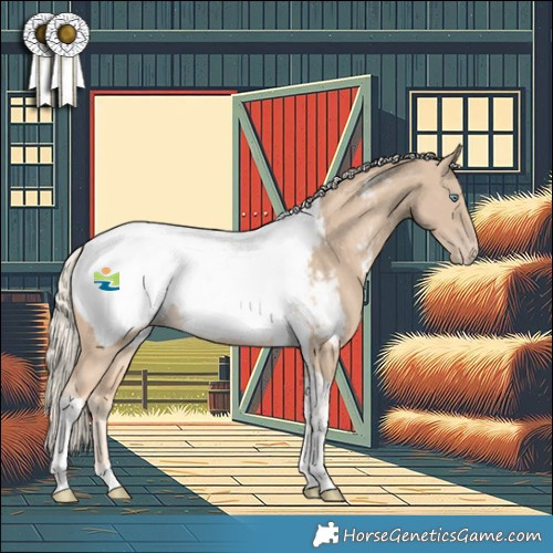 Horse Color:Cremello Tobiano Appaloosa
