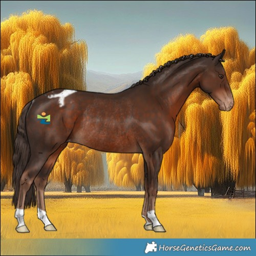 Horse Color:Liver Chestnut Appaloosa Rabicano