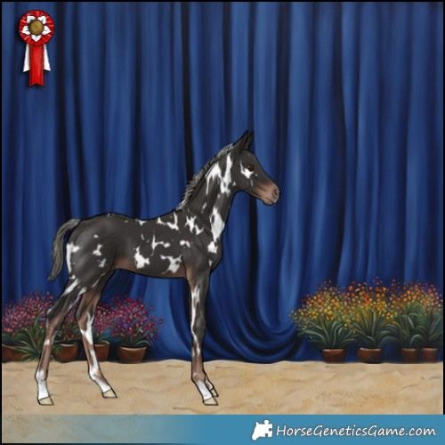 Horse Color:White Spotted Liver Chestnut Mushroom 