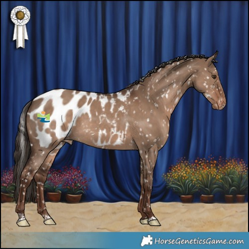 Horse Color:Liver Red Dun Near Leopard 