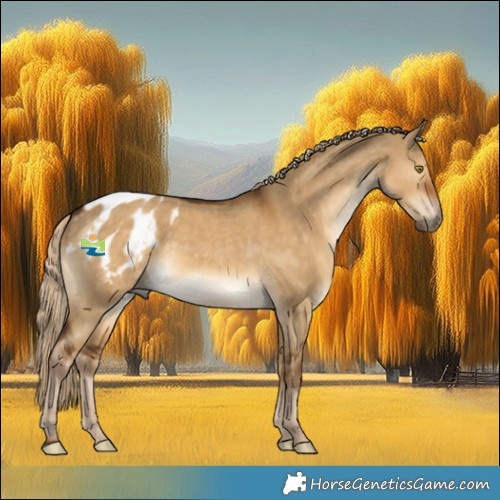 Horse Color:Gray Chocolate Palomino Dun Appaloosa 