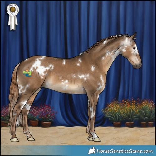 Horse Color:Gray White Spotted Liver Red Dun 