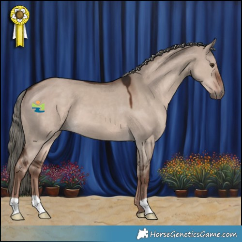 Horse Color:Liver Red Dun Mushroom