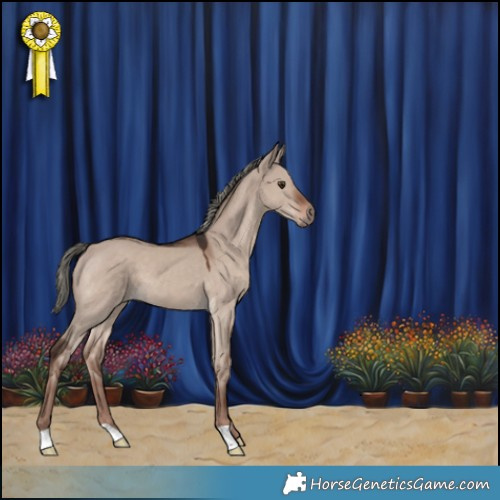 Horse Color:Liver Red Dun Mushroom 