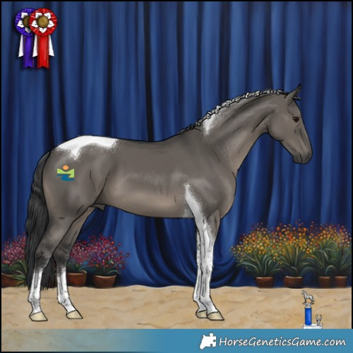Horse Color:Grullo Tobiano 