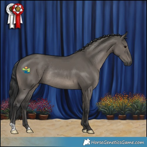 Horse Color:Grullo Rabicano