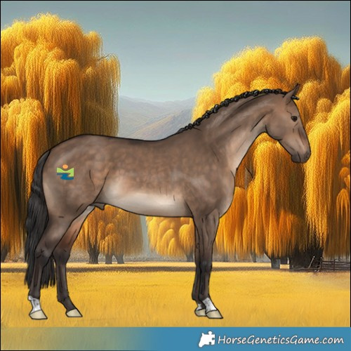Horse Color:Brown Dun