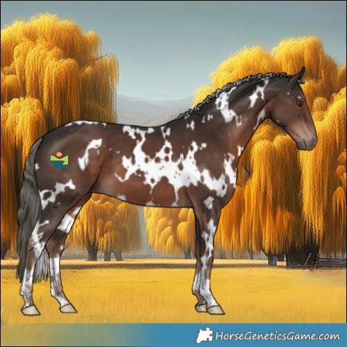 Horse Color:White Spotted Liver Chestnut Mushroom