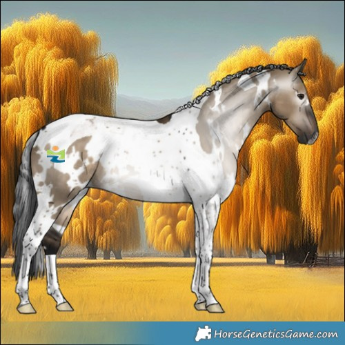 Horse Color:Gray White Spotted Brown Dun Tobiano 