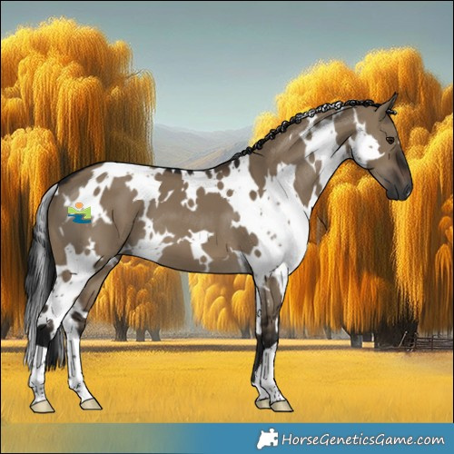 Horse Color:Gray White Spotted Brown Dun 