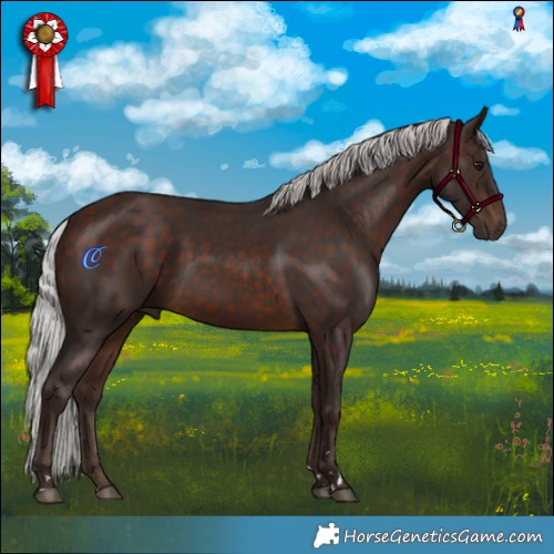 Horse Color:Silver Brown Rabicano