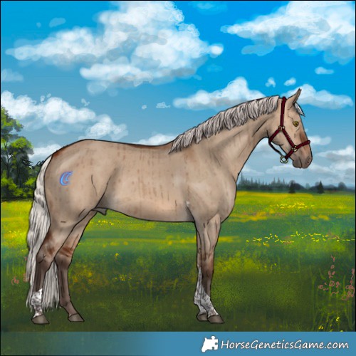 Horse Color:Silver Brown Dun Tobiano Rabicano Brindle 