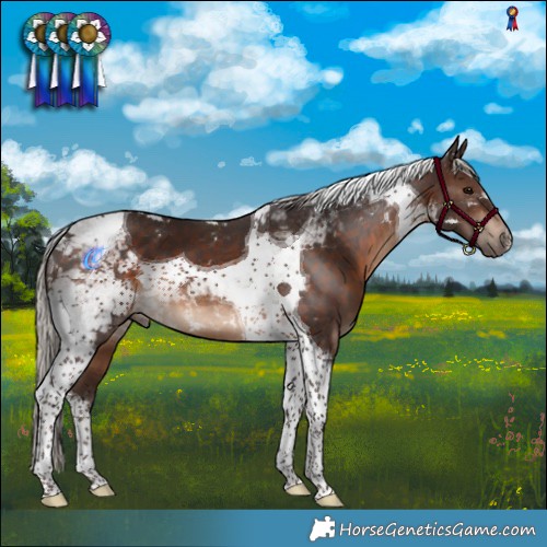 Horse Color:Silver Brown Tobiano 